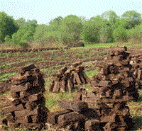 Image for Authentic Irish Turf Sods - Peat