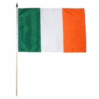 Image for 12" x 18"" Irish National Flag on a Stick