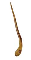 Image for Irish Hazel Wood Walking Stick