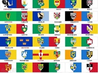 Image for 12" x 18"" Irish County Colour Flag