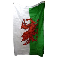 Image for 3 x 5 Foot National Flag- Wales