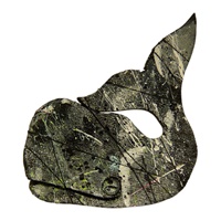 Image for Bill Baber Acrylic Whale Brooch