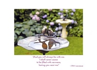 Bird Bath Anniversary Card