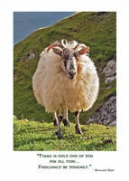 Image for Irish Sheep Birthday Card
