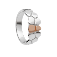 Image for CARIC Ring