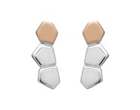 Image for CARIC Stud Earrings