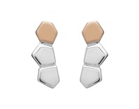 Image for CARIC Stud Earrings