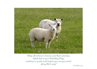 Irish Blessing, Anniversary Card, Sheep Couple