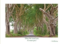 Irish Wooded Road Birthday Card