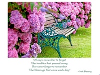 Image for Hydrangea Bench Thinking of You Card