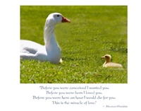 Image for Goose with Gosling New Baby Card