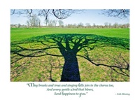 Image for Tree of Life Birthday Card