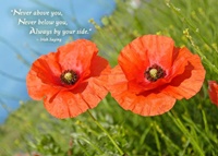Image for Two Poppies Anniversary Card