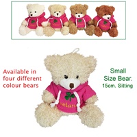 Image for Small Plush Teddy In Pink Ireland Hoodie