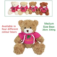 Image for Medium Plush Teddy In Pink Ireland Hoodie