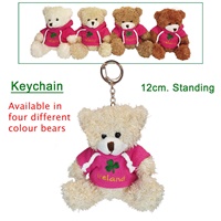 Soft Teddy Bear Keyring In Pink Ireland Hoodie