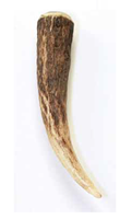 Image for Horn Kilt Pin