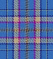 Cian/Carroll Tartan Tie