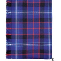 Blue Fitzgerald Tartan Scarf