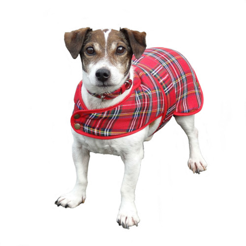 Glen Appin Tartan Dog Coat, Royal Stewart Irish Jewelry Irish Store