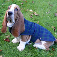 Image for Glen Appin Tartan Dog Coat, Black Watch