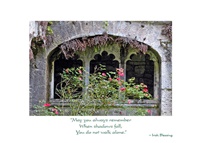 Image for Greeting Cards - Thinking of You 3 Windows