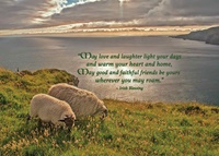 Image for Greeting Cards - Friendship