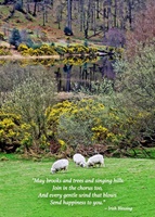 Image for Greeting Cards - Irish Landscape Get Well