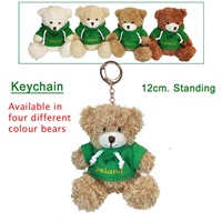 Image for Tiny Plush Teddy In Green Ireland Hoodie