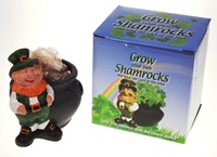 Image for Grow Your Own Shamrock Plant with Pot