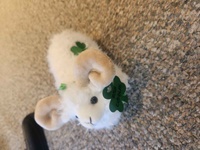 Image for Irish Slender Sheep Cuddly Toy