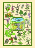 Image for Irish Wildflowers Tea Towel