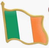 Image for Irish Flag Lapel Pin