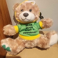 Image for Hooded Teddy Bear Tipperary Cuddly Toy